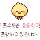 몬스터캣 - 창원시 성산구 | 몬스터캣