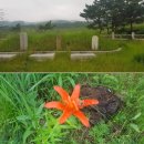 ＜청산리를 기억한다면서, 묘역에 잡초가 자라는 나라의 보훈. -유해는 화룡시에 있다. 대종교 삼종사 봉환을 요구한다＞ 이미지