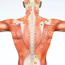 약손 테라피 이미지