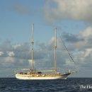 원앤온리 이미지