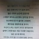 인생 수업 책 중에서 심금을 울리는글 이미지