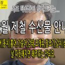 2월 제철 생선(통치,홍어,방어,가숭어,해조류,조개류) 참조기, 먹갈치, 가격안내, 날 따뜻해지면 해조류 뻣셔지고... 이미지