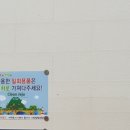 새로나 이미지