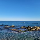 주문진활어회센타 이미지