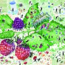 베짱이정원 이미지