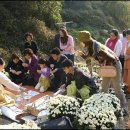 보화다원 이미지