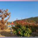 사평전통시장 이미지