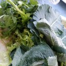 은모래민박 이미지