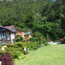 국화펜션 이미지