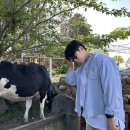 한거름목장 네이버블로그