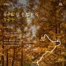 하늘숲 - 가평군 멱골로 121 | 하늘숲