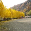 마차초등학교 이미지