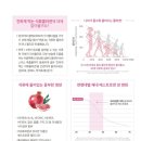 타파웨어 루비라 이미지