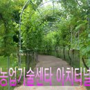 센터모바일 이미지