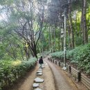 현충근린공원(유아숲체험장) 네이버블로그