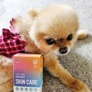 해피병풀 이미지