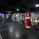 쿠바복싱 이미지