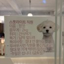 우정 | 서면 스폿라이트 사진관 방문 후기 ! 커플 사진 우정 사진으로도 인기 많은 보정 맛집 📸