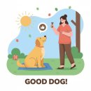 반려견,반려묘를 위한 반려동물관리사 | 반려동물관리사 1급 취득 가이드와 활용 방법