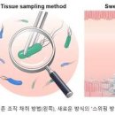 헬리코박터균 및 검사, 전염, 제균 약 (속쓰림 원인 위궤양) 이미지