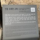 오류헌 | 안동 오류헌 고택 | 400년 된 조선시대 고택에서 하루, 안동 에어비엔비 추천, 고택스테이