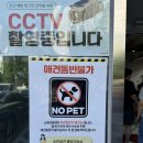 제일할인마트 | 인천 서구 와이케이 쇼핑아울렛, 창고형 할인마트 주말 방문 후기