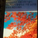 청춘사업 이미지