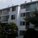 분당-266 이미지