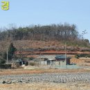 스카이랜드부동산중개법인 이미지