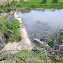 대암축산 이미지