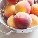 월미농장 이미지