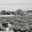 시골풍경 이미지