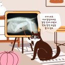 웰동물병원 이미지