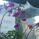 순정공인중개사사무소 이미지