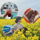 엑스오 아이스크림 앤 커피 | 포항 호미곶 카페 추천 패럿커피앤아이스크림 오션뷰 감성카페 후기