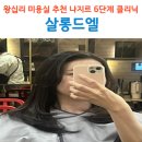 왕십리 미용실 추천 살롱드엘 나지르 클리닉으로 손상모 관리 후기