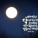 감성 붓펜 캘리그라피 이미지