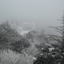 1박2일 아래 이미지