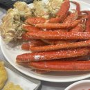 하루Dog(달이와 나나의 하루) | 나는 그 어느 겨울에도 그 어떤 시간도 다 녹이지 못하고 서성거린다