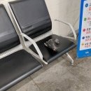 동대구 고속버스 터미널에서 이미지