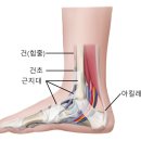 충무새힘한의원 네이버블로그