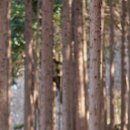 미륵암약수터 이미지