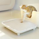 고양이발 이미지