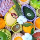 유스테이(U-STAY) 이미지