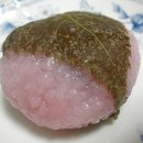 모찌 Daum카페