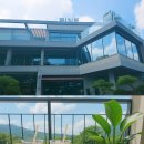 솔잎커피숍 | 진례 신상커피숍 "카페파인" 진례카페파인