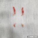 오션동물메디컬센터 이미지