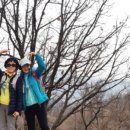 우면산3-10 이미지