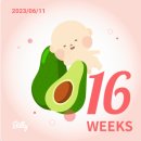 [임신일기]16주~17주 : 2차 기형아 검사 / 산전 정신지체 선별검사 / <b>토복이</b> 성별