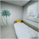 스테이ㅎ 이미지